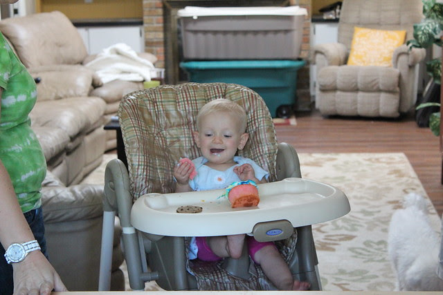 Josie's First Birthday