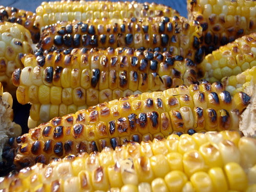 P5312955