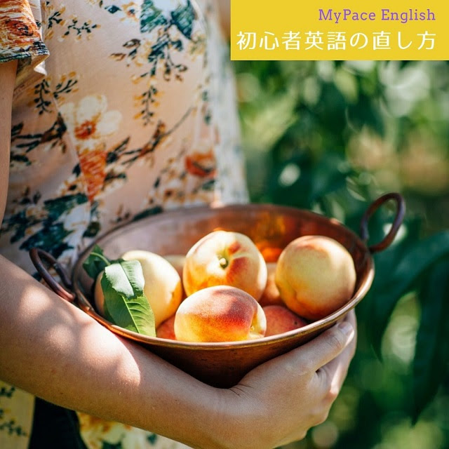 Fruit Fruits 果物 フルーツ を英語で表現 初心者英語の直し方 英会話 個人レッスン Mypace English