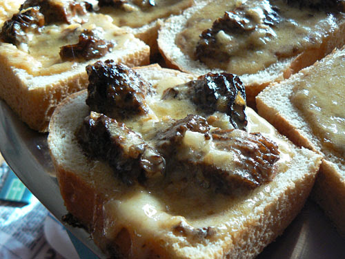 croûtes aux morilles.jpg