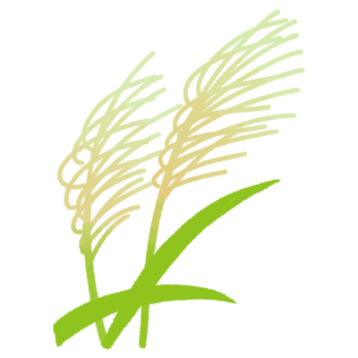 サトウキビの花の無料素材 イラスト沖縄 おきなわ