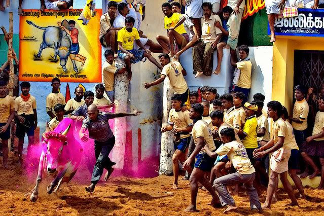 Image result for வாடிவாசல்