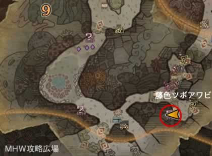 Mhw モンハンワールド 激レアな食材 特産品の入手場所 入手方法のまとめ 攻略広場
