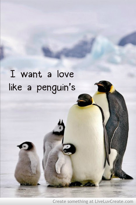 Penguin Love Quotes. QuotesGram
