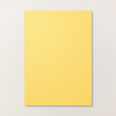 Daffodil Delight A4 Cardstock