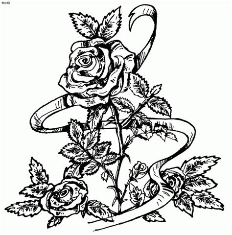  free printable coloring pages roses printable templates