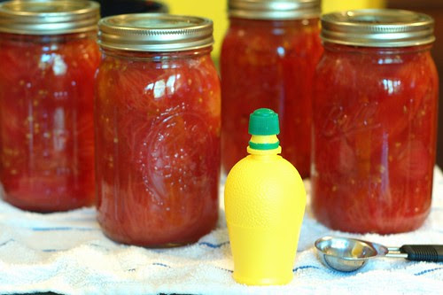 Packed jars of tomatoes by Eve Fox, Garden of Eating blog, copyright 2012