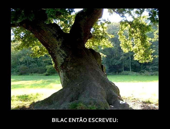 Valorize O Que Você Tem...