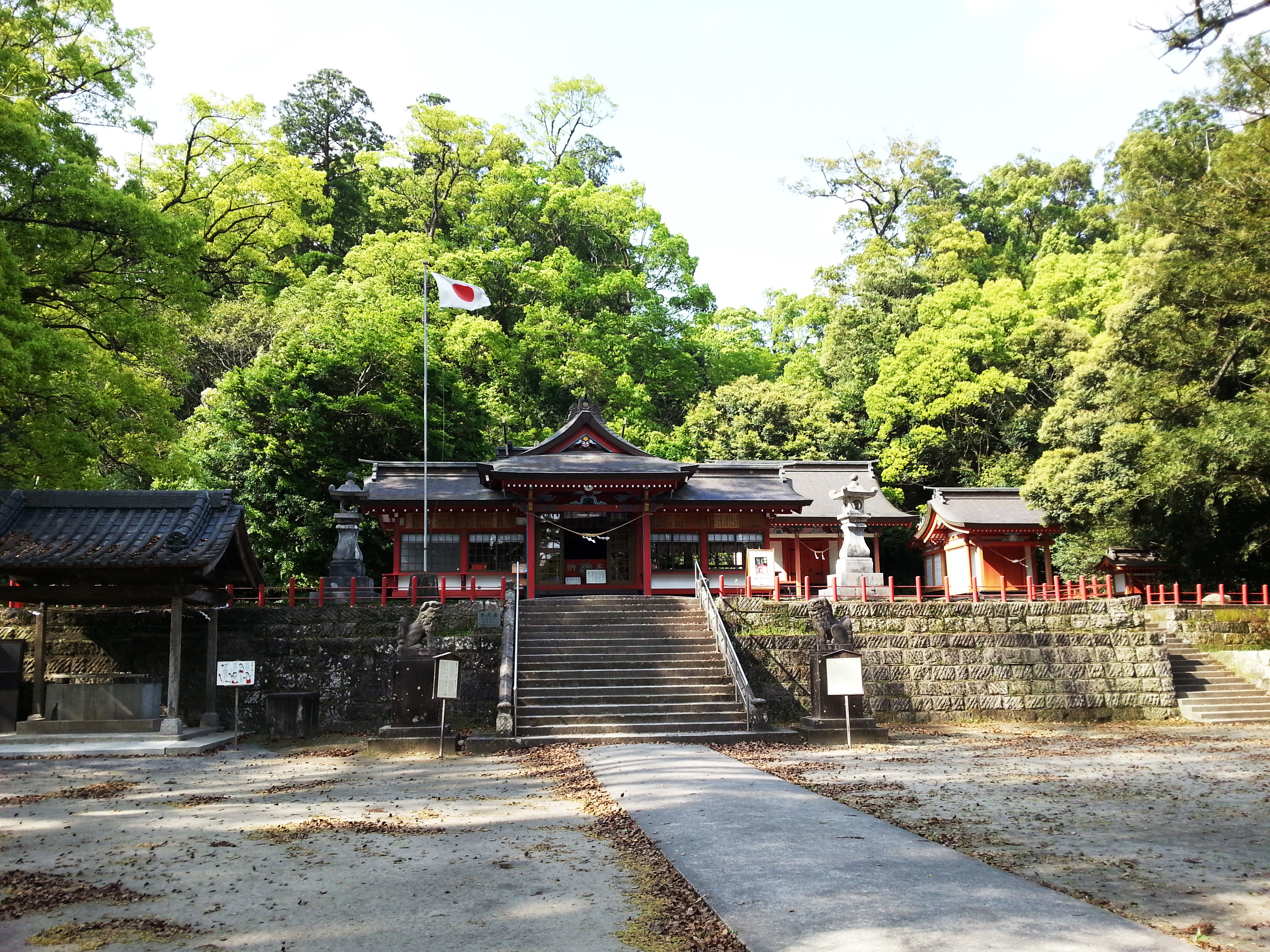 日本的第一大巨树 蒲生的大樟树 Kagoshima