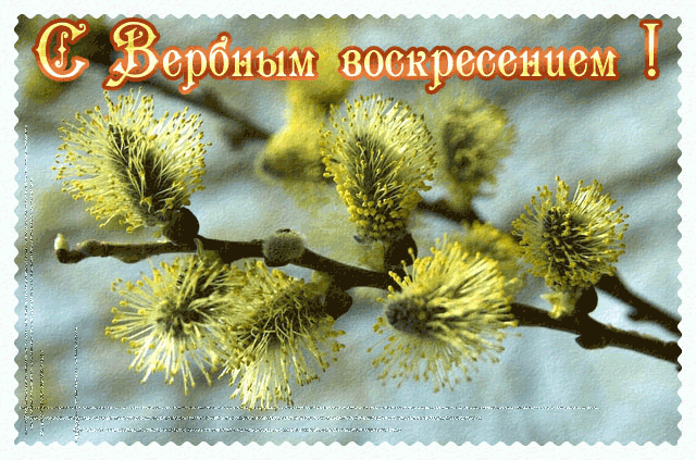 анимационные открытки Вербное воскресенье