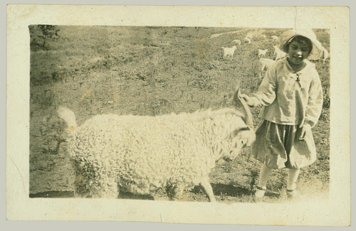 Child and ram