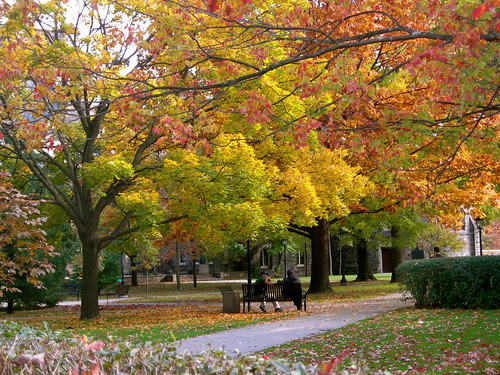 University of Toronto
