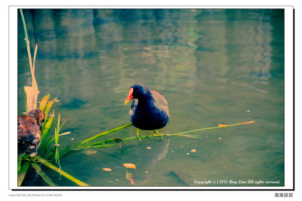nEO_IMG_IMG_6418