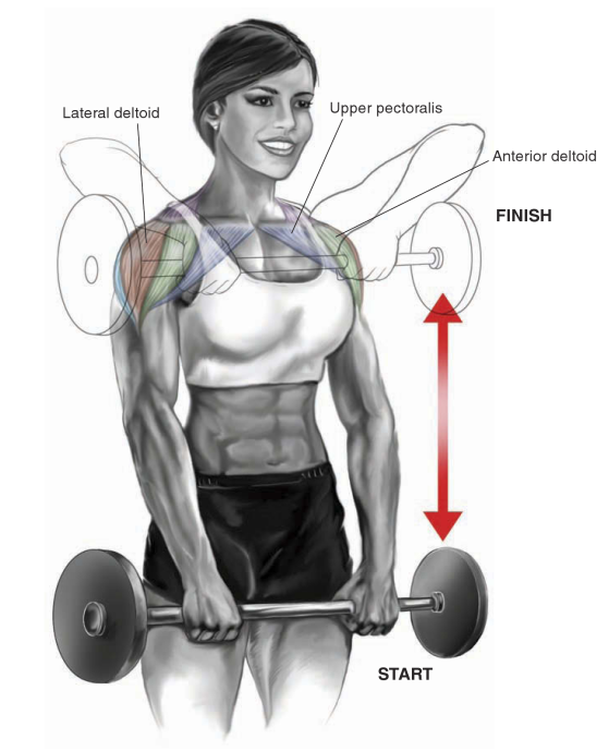 Barbell Upright Row