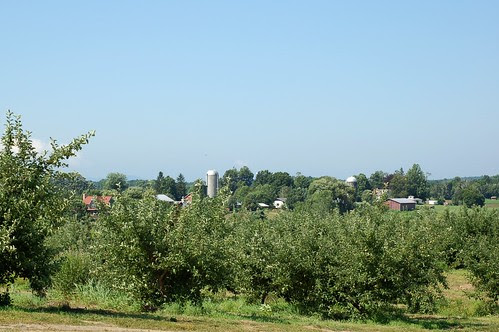 View from the raspberry bushes by Eve Fox, Garden of Eating blog, copyright 2011