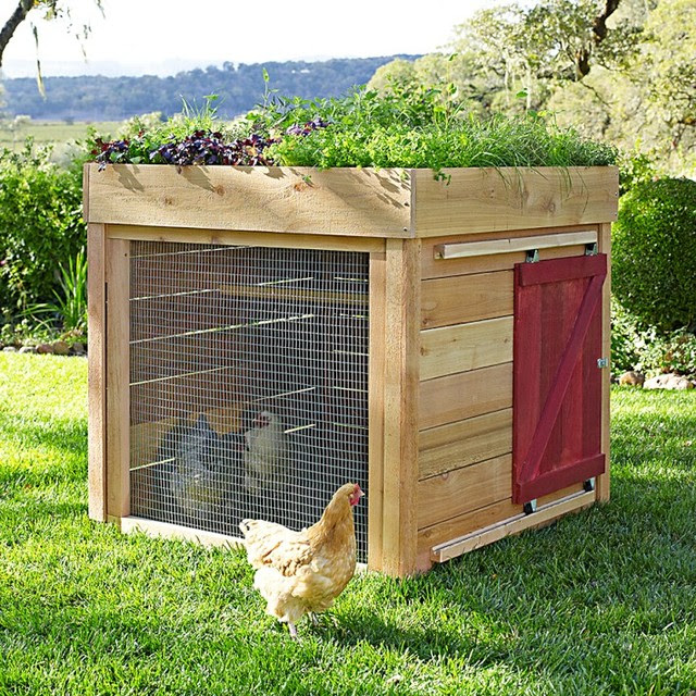 Barnyard Chicken Coop traditional-pet-care