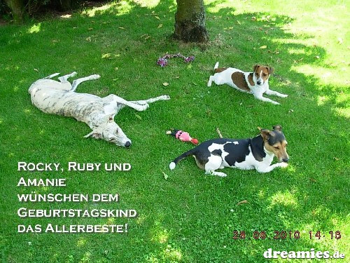 alles liebe zum 50 geburtstag