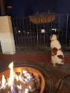 Cabelas Smokeless Fire Pit / 8 Best Smokeless Fire Pits For 2021 Top Rated Smokeless Fire Pits / Did i mess up though?