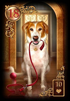 Combinações do Baralho Cigano Carta Cachorro - Linha das Águas
