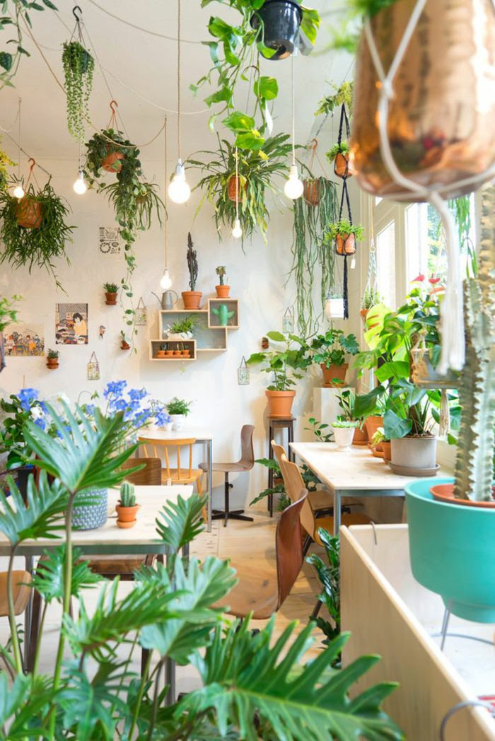 99 Great Ideas to display Houseplants Indoor Plants 99 Great Ideas to display Houseplants Indoor Plants