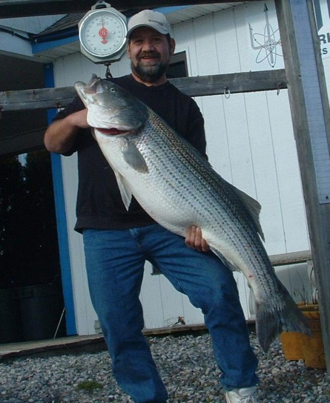 Click image for larger version. 

Name: fishing 08 008.jpg 
Views: 6 
Size: 73.1 KB 
ID: 91370