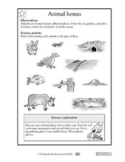 1st grade, 2nd grade, Kindergarten Science Worksheets: Animal homes ...