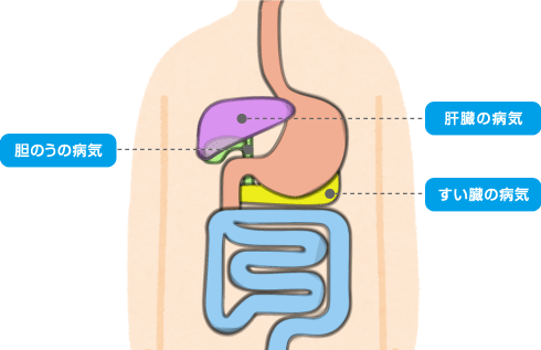 肝臓 胆のう すい臓 はやま消化器内科クリニック 東京都杉並区の内科 消化器内科 Jr 阿佐ヶ谷駅 徒歩6分