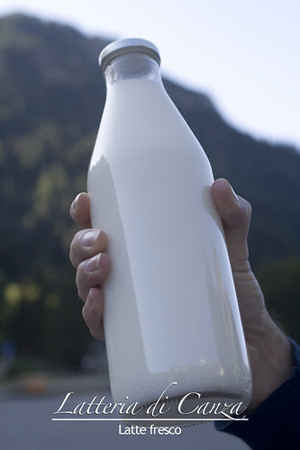 Il latte della latteria di Canza