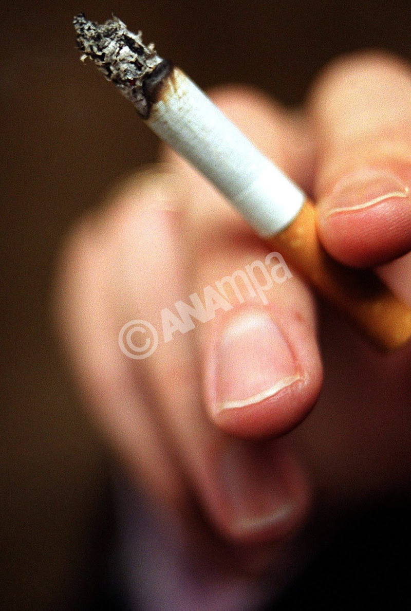 epa00128074 (FILES) Picture dated  21 November 2000 of a lit cigarette. A hard-hitting TV advertising campaign showing fat oozing out of a smoker