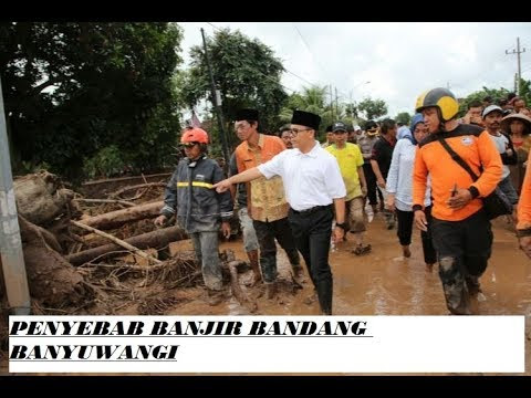 Banjir Bandang Banyuwangi Murni Peristiwa Alam 