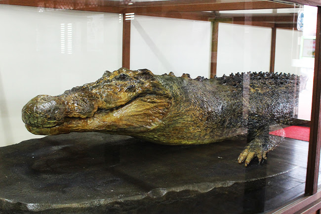 べっぷ地獄めぐり