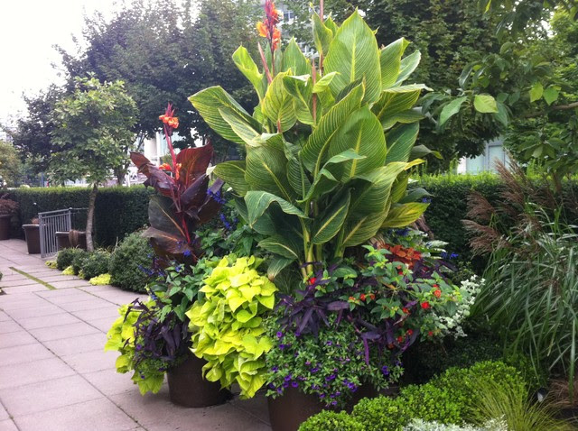 Modern Tropical - tropical - landscape - vancouver - by Glenna ...