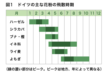 花粉症とアレルギー性鼻炎