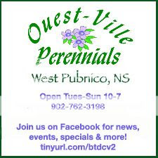  photo Ouestville15.jpg