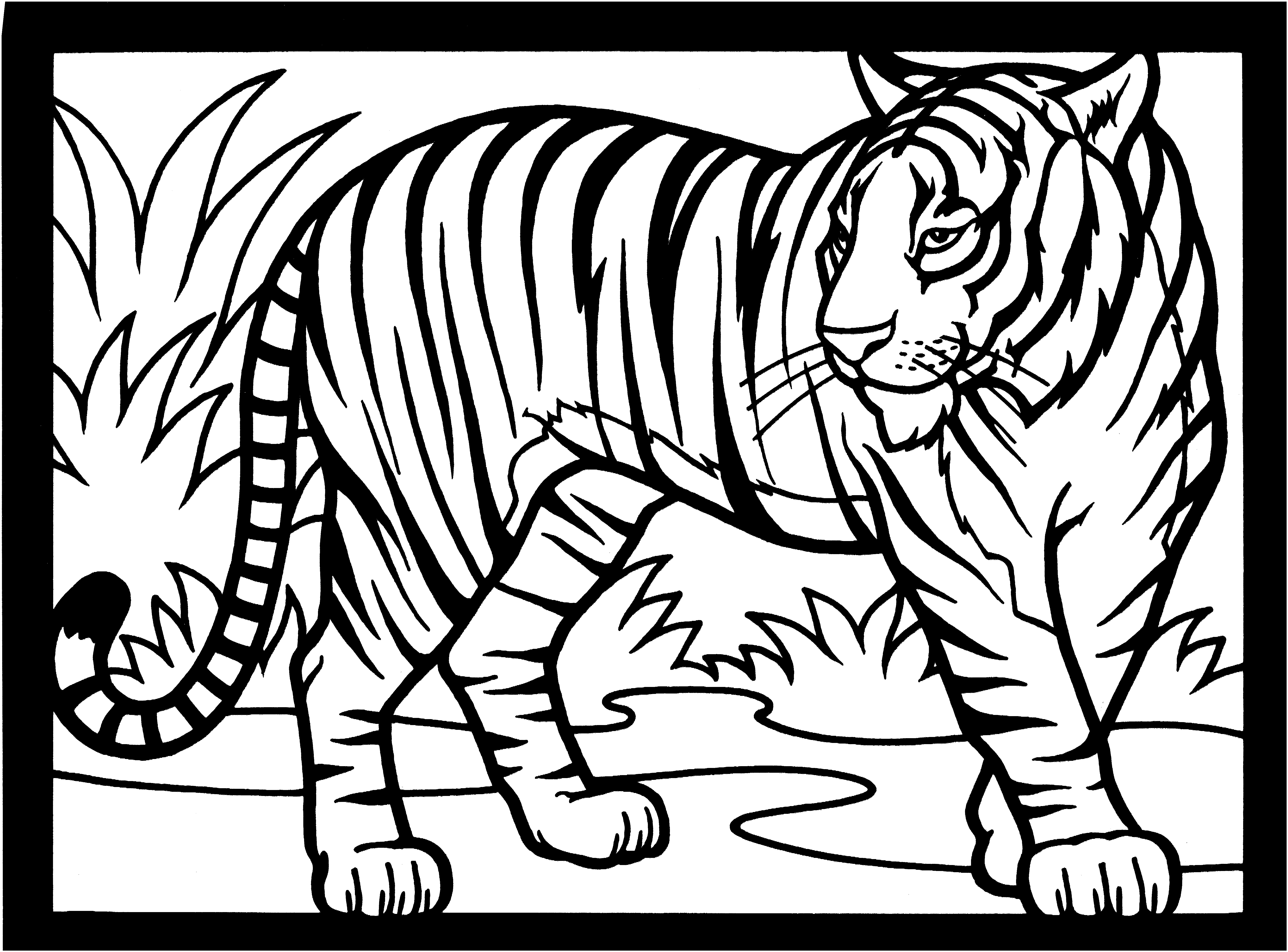 Download Free Tiger Coloring Pages