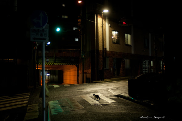 _DSC52