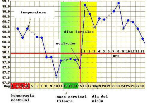 puedes quedar embarazada si no termina dentro de ti