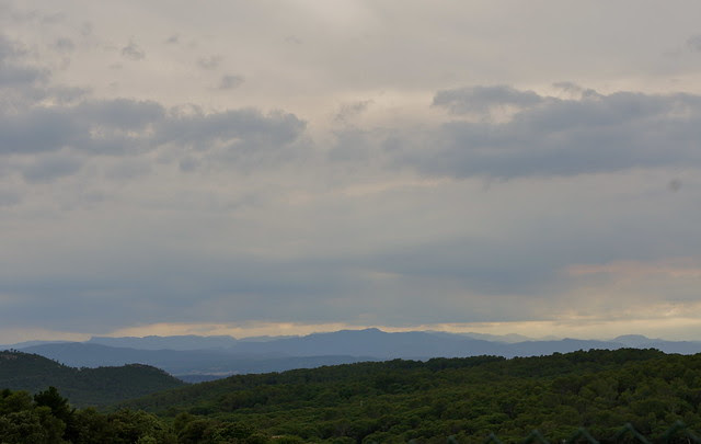 DSC07558