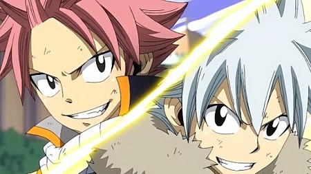 Fairy Tail フェアリーテイル コミックス第39巻特装版 Everlasting