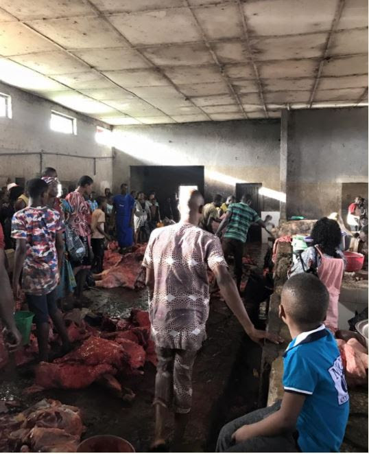 Exposed! Abattoir in Edo Where Animals are Killed and Processed in a Dirty Gutter