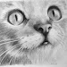 45+ Cat Drawing Realistic Gif