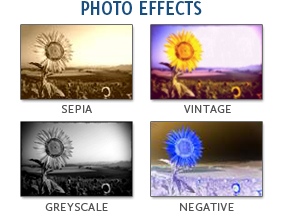 Resize Photos Online - The Free and Easy Way to Shrink Photos and Compress  Jpeg Pictures