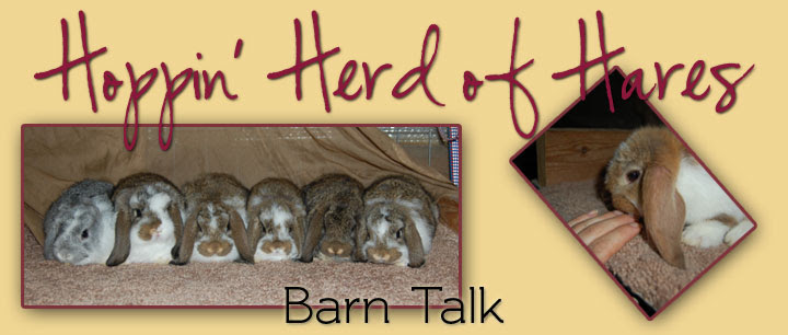 Hoppin' Herd of Hares