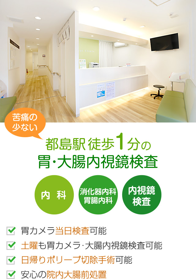 かわい内科 胃腸内科クリニック 大阪市都島区 内視鏡検査 胃カメラ