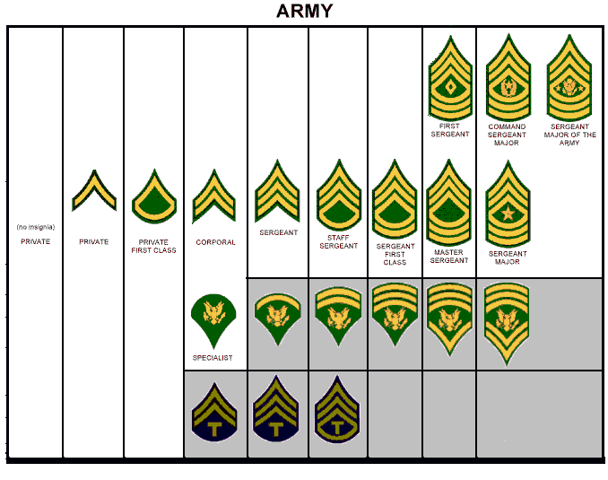 US Army Cadet ACU Rank Cadet