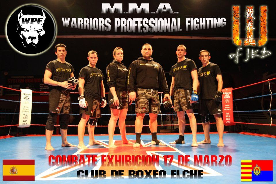 Mixed Martial Arts ( MMA )