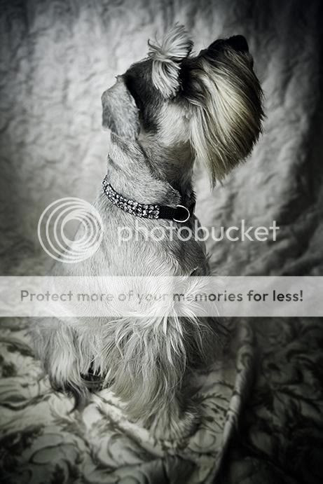 Lucy