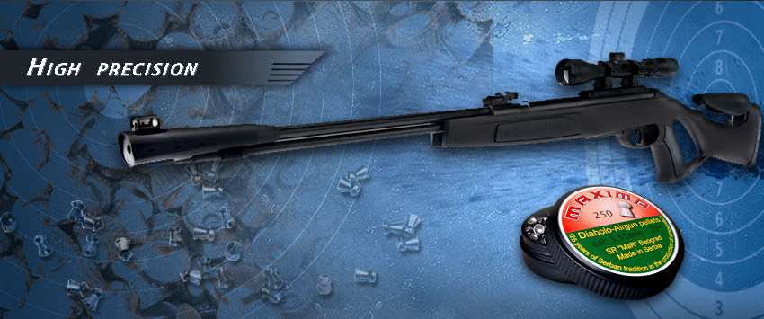 www airgunpellet com