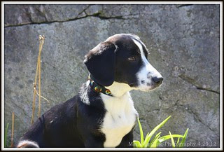 Addie_42912b