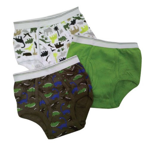Carter's Boys 2-7 Boys 3 Pack Briefs Dino Brief, Multi, 4-5